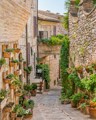 Scenic sight in Spello, flowery and picturesque village in Umbria, province of Perugia, Italy.