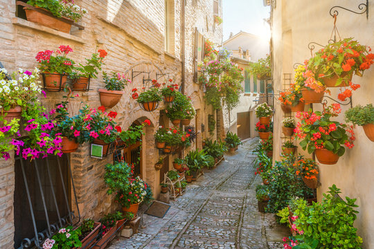 Fototapeta Scenic sight in Spello, flowery and picturesque village in Umbria, province of Perugia, Italy.