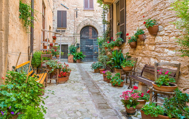 Fototapeta na wymiar Scenic sight in Spello, flowery and picturesque village in Umbria, province of Perugia, Italy.