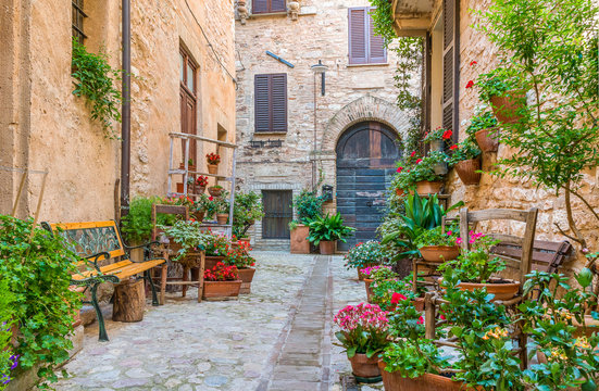 Fototapeta Scenic sight in Spello, flowery and picturesque village in Umbria, province of Perugia, Italy.