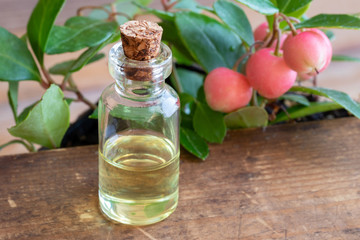 A bottle of wintergreen essential oil with wintergreen twigs