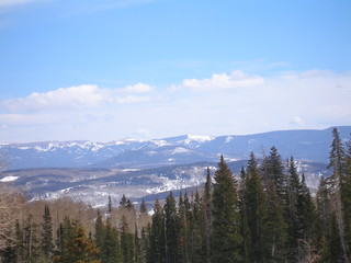 Obraz premium Rabbit Ears Pass