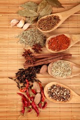 Variety of Dried Spice on Spoons