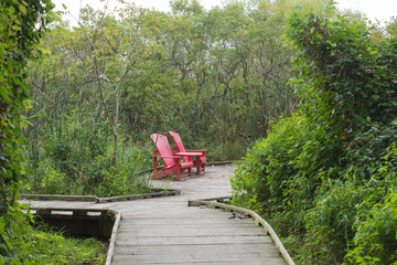 Fototapeta premium Corner for relaxation with two chairs