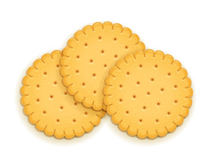 Three delicious round biscuit. Sweet cookie. Cookies. Realistic