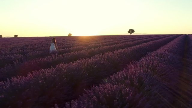 Aerial - Beautiful young woman walking in lavender field and touching flowers