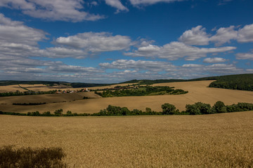 Obraz premium Fields in the vicinity of Svatobořice and Mistrin during the summer days before harvesting cereals. A gorgeous sky full of clouds, the paths that go between the field and the meadows. This area where 