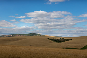 Fototapeta na wymiar Moravian Tuscany. Fields in the vicinity of Svatobořice and Mistrin during the summer days before harvesting cereals. A gorgeous sky full of clouds, the paths that go between the field and the meadows