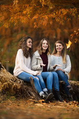 Naklejka na ściany i meble Three young women sitting in the forest in the autmn