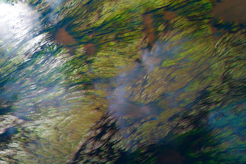 Algae in the river stream
