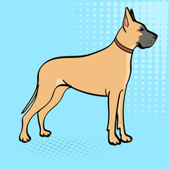 Great Dane breed of domestic dog. Pop art background. Retro style, comic emulation.