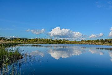 Sunny autumn day on the shore of an artificial lake.
