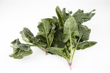 Green spinach on the white background