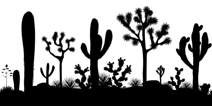 Desert seamless pattern with silhouettes of joshua trees, opuntia, and saguaro cacti.