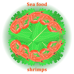 Sea food shrimps.