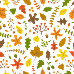 Colorful autumn leaves vector seamless pattern. Fall nature, leaves and plants background.