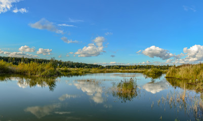 Sunny autumn day on the shore of an artificial lake.