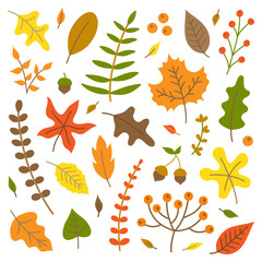 Colorful autumn leaves vector illustration set. Fall nature, leaves and plants collection, isolated.