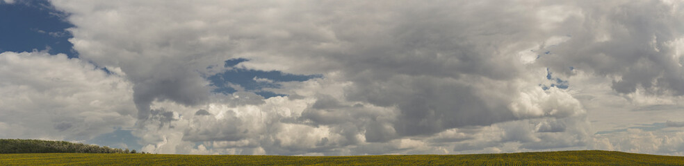 Obraz na płótnie Canvas Clouds over a field with a sunflower.