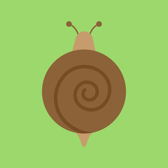 Cute snail round vector graphic icon. Brown land snail, mollusc animal illustration. Isolated on green background.