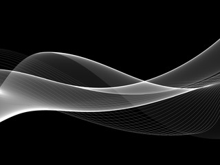      Abstract Black And White Wave Design 