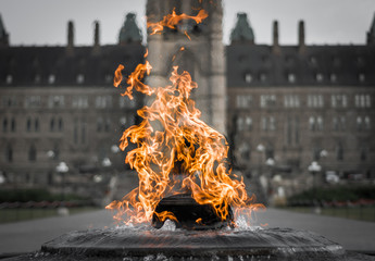 Fire pit in Ottawa - obrazy, fototapety, plakaty