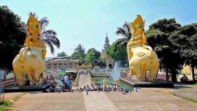 YANGON, MYANMAR - FEBRUARY 17, 2018: Buddhist devotees feed the pigeons between the statues of chinthe (leogryphs) at the Maha Wizaya (Mahavijaya) Pagoda, on February 17 in Yangon