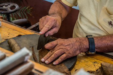 Cigar rolling in Cuba