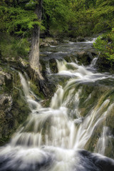 Fototapeta premium Texas Hill Country Waterfall