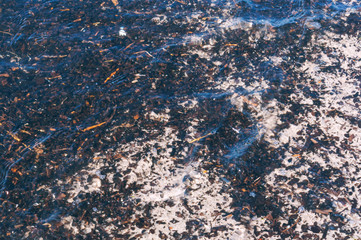 The remains of wood in the sea water. Black garbage under water.