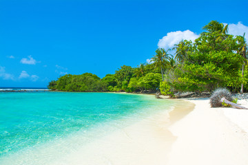 Beautiful sandy beach in uninhabited island