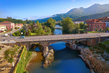 Cangas de Onis village in Asturias Spain © lunamarina