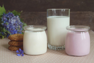 dairy products: yogurt, a glass of milk and oatmeal cookies,
rustic style