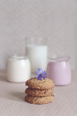 dairy products: yogurt, a glass of milk and oatmeal cookies,
rustic style