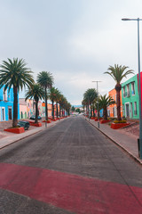Colorful street with palmtrees in México.