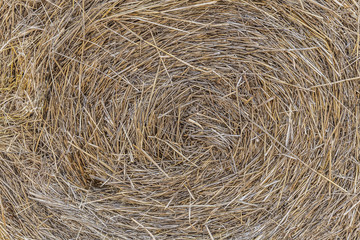 Bale of hay background