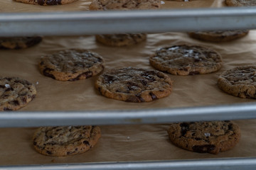 Fresh Baked Salted Chocolate Chip Cookies