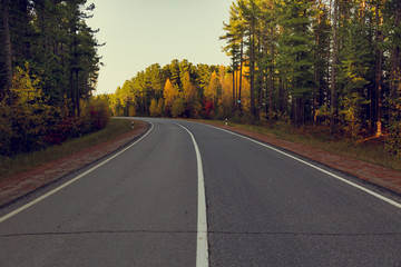 Fototapeta premium Asphalt road with a dividing strip along the autumn forest