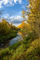 Daytime natural scenery by the forest river