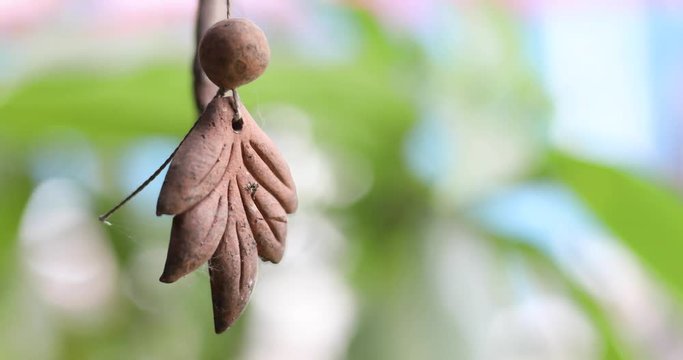 Old Earthen Wind Chime in local market of Kumbharwada during Ganesh Festival in Pune, Maharashtra, India.