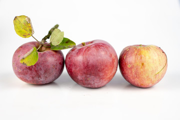 Apple with a piece of twig and leaves. Fruit brought straight from the garden.