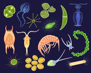 Plankton vector aquatic phytoplankton and planktonic microorganism under microscope in ocean illustration set of micro cell organism in microbiology underwater sea isolated on background - obrazy, fototapety, plakaty