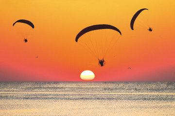 athletes fly on a paraglider over the sea against the backdrop of the setting sun