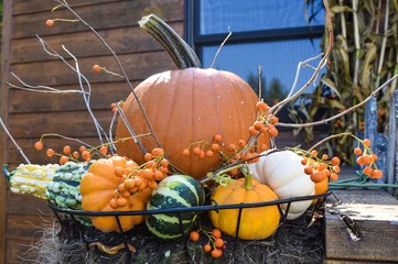 Fall pumpkin decoration