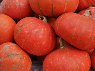 Pumpkin beautiful color combination.in the mountain market in Chiang Mai, Thailand.