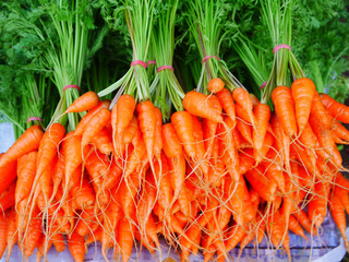 Carrot small bunch