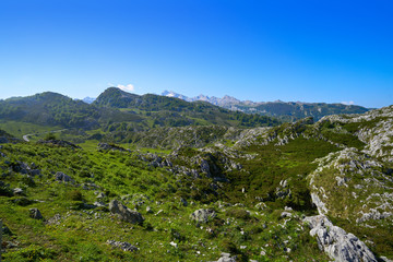 Picos de Europa in Asturias of Spain