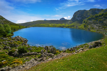 Fototapeta na wymiar Picos de Europa Enol lake in Asturias Spain