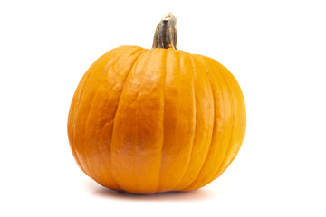 Single Large Orange Pumpkin on a White Background