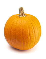 Single Large Orange Pumpkin on a White Background